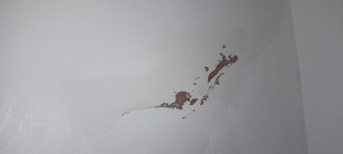 Damp
