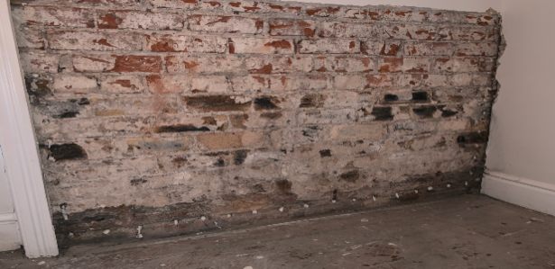 Technician injecting a chemical silicone-based damp proof course cream into a brick wall