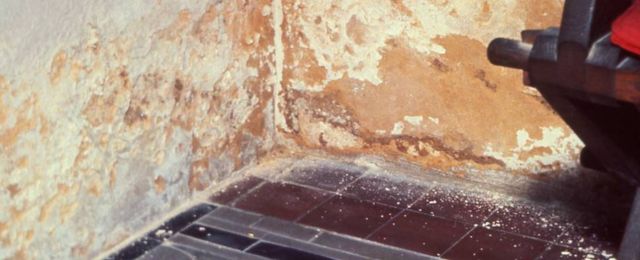 Damp Proof Plaster Salting