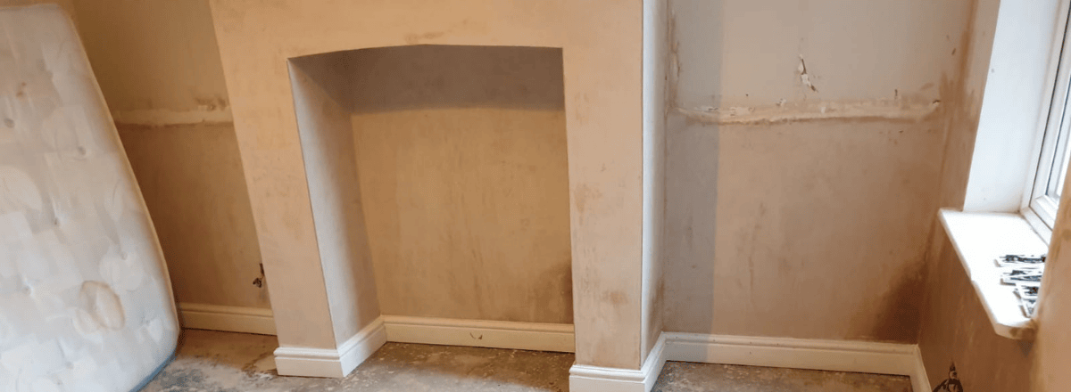 Damp Proof Plasters