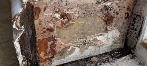 Decayed Timber