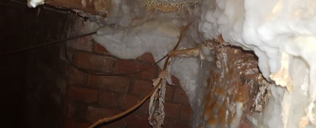 Dry Rot under floorboard timber