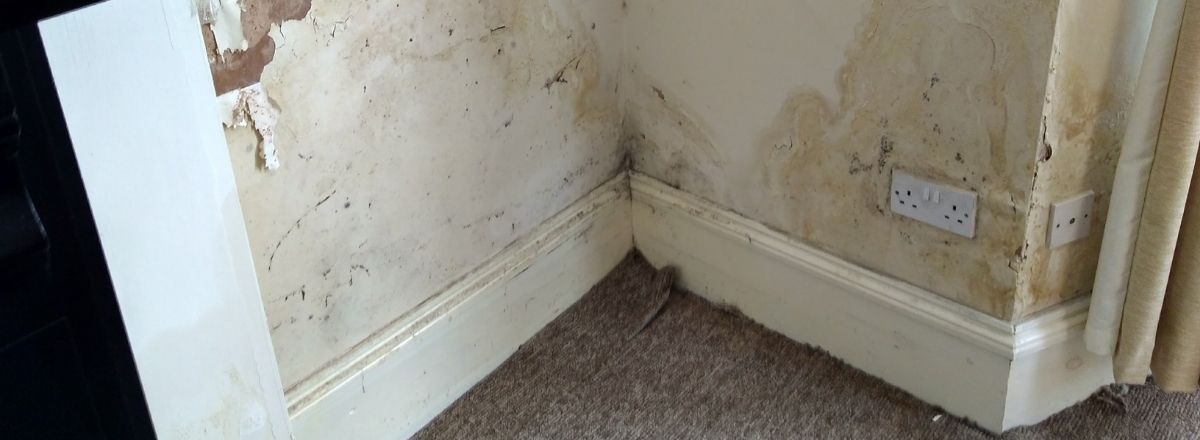 Identifying Damp