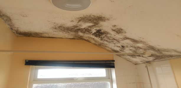  It is difficult to insulate eaves voids from the loft, so thermal paint can be successful in stopping the thermal bridge in bathrooms, where condensation and mould form.