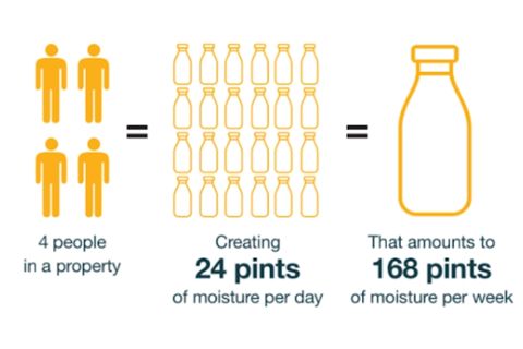 Infographic showing four people in a house create 24 pints of moisture per day, totaling 168 pints per week, illustrated with bottle icons.