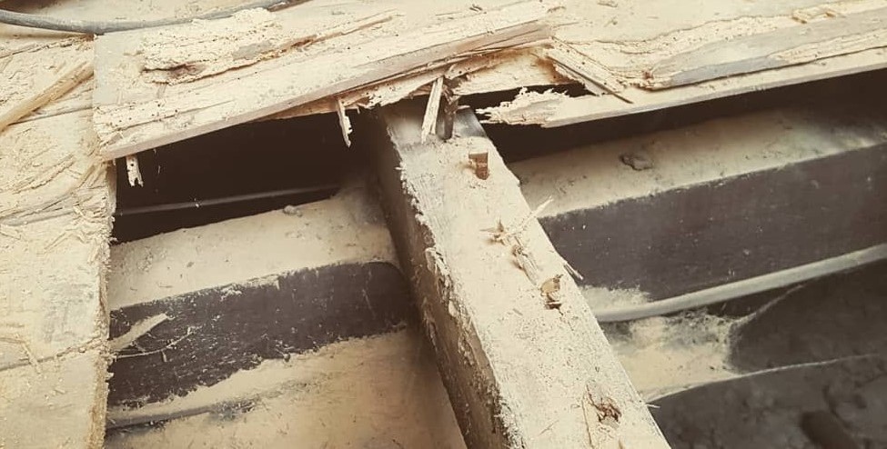 Woodworm can cause severe damage in hard to access areas, like the underside of floorboards in the sub floor void.