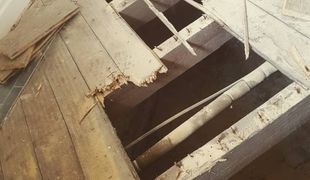 Infested wooden floorboards showing extensive woodworm holes requiring professional Wise Property Care repair