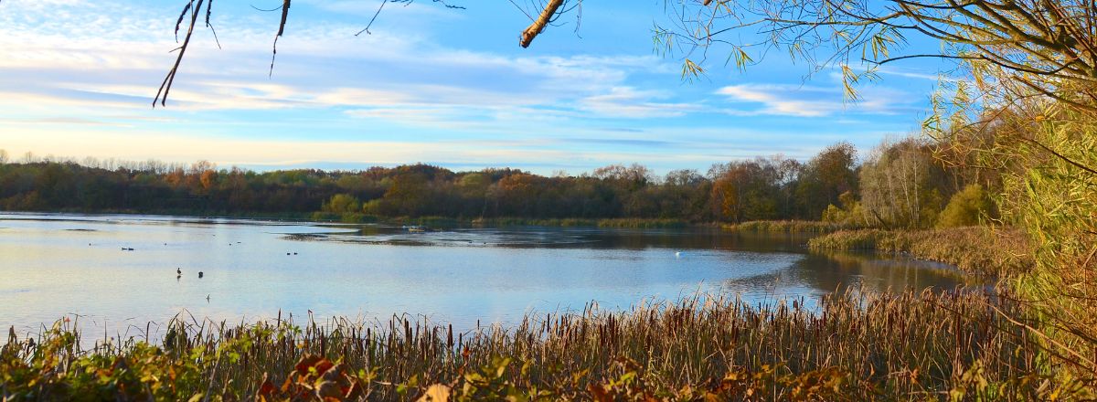 Strathclyde Country Park in Motherwell, Scotland