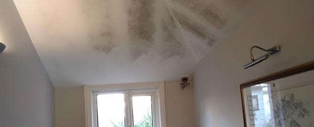 Image showing Mould and Condensation on Ceiling