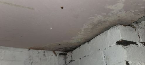 Mould growth and condensation forming