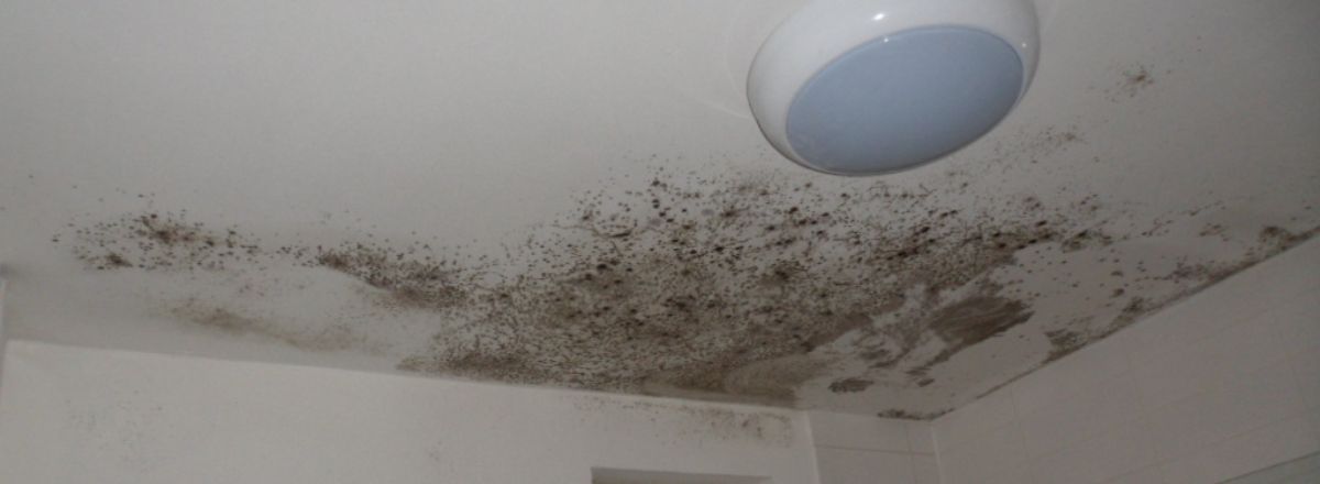 Mould on Asbestos Ceiling, mould growth found in corner of the interior bedroom