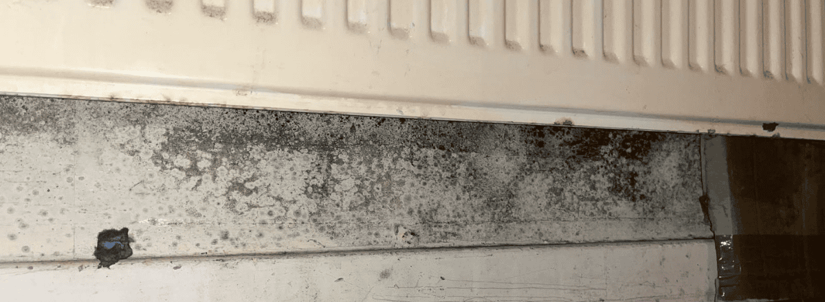 Mould On Walls