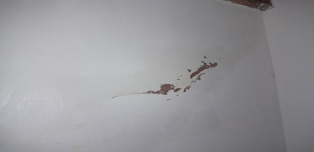 Damp patches on internal wall plaster caused by external structural building defects