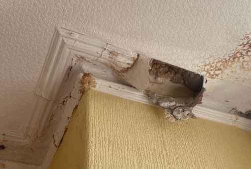 Penetrating damp on ceiling