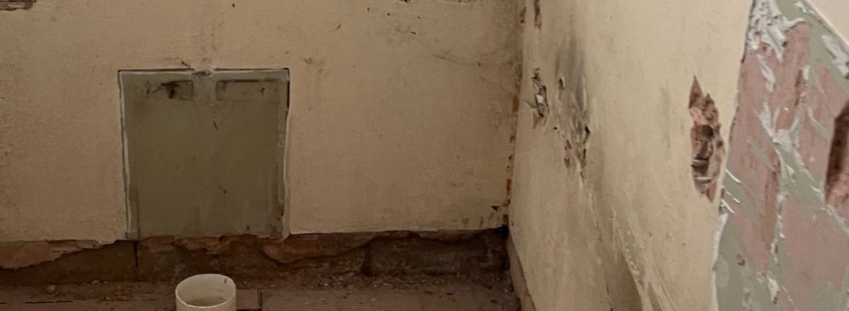 Penetrating Damp on cracked wall