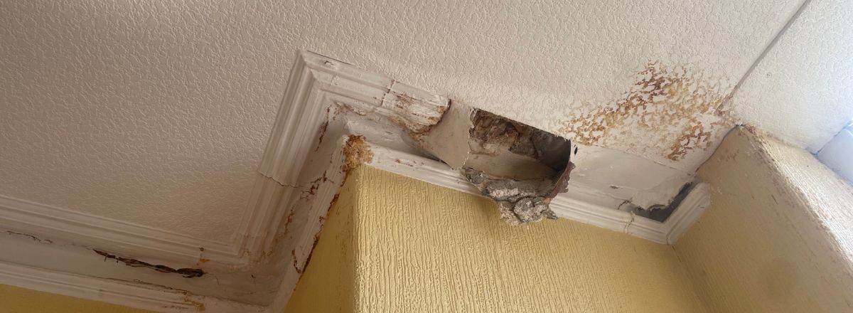 Penetrating Damp