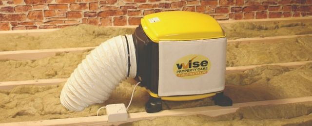 A yellow Wise Property Care PIV unit with a flexible white hose sits on wooden beams and insulation in an unfinished attic space, set against a brick wall background.