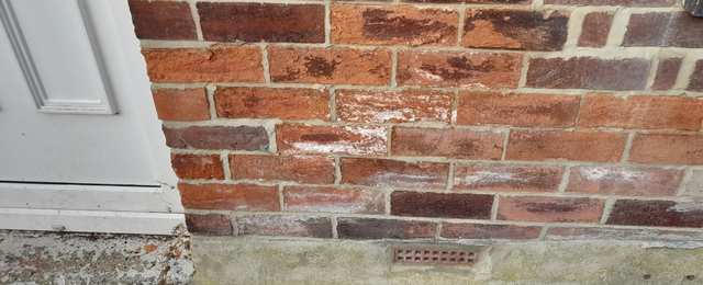 rising damp