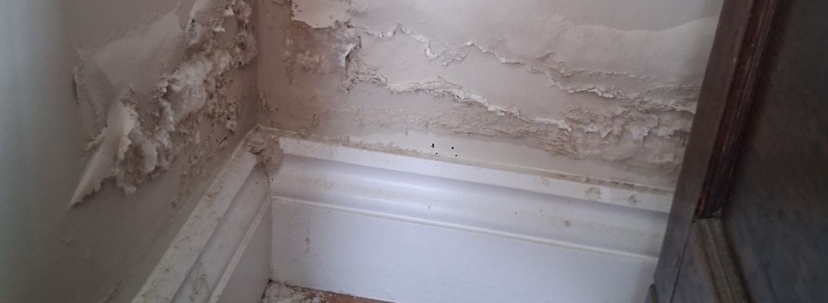 Rising Damp on wall