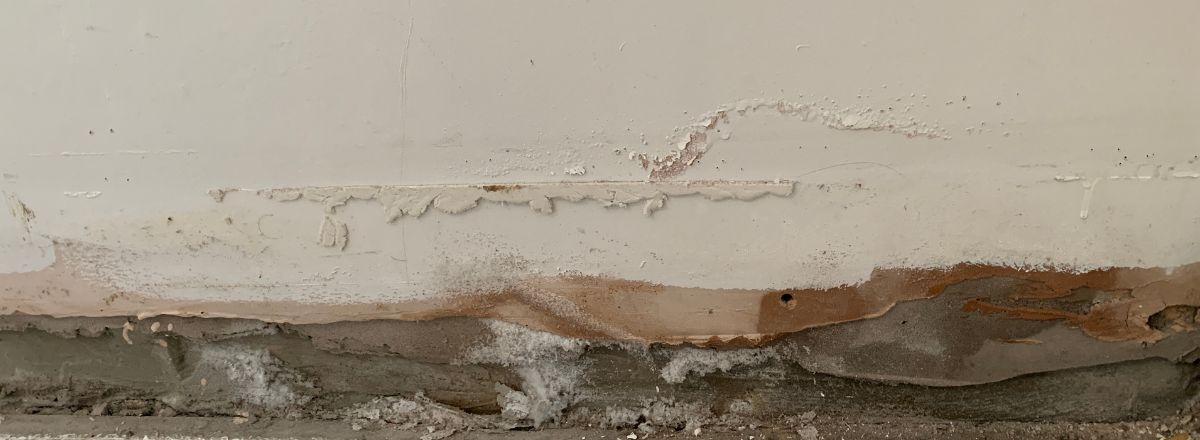 Interior wall showing rising damp damage with white crystalline salt deposits and crumbling plaster near the floor
