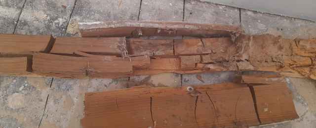 Dry Rot Timber splitting and cracked