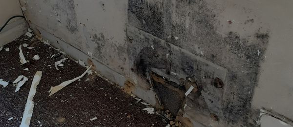 An uninsulated internal property wall showing signs of moisture and cold bridging before treatment
