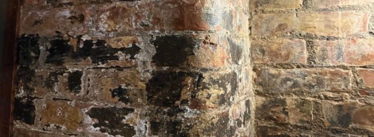 Preparing walls with mortar and salt patches
