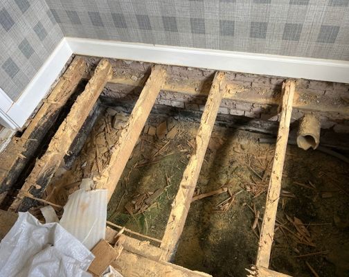 Weakened and crumbling structural timber caused by severe long-term woodworm infestation