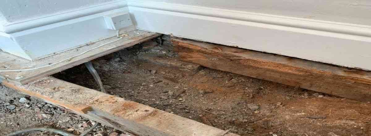 Wet Rot