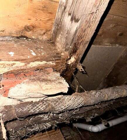 wet rot decaying wood