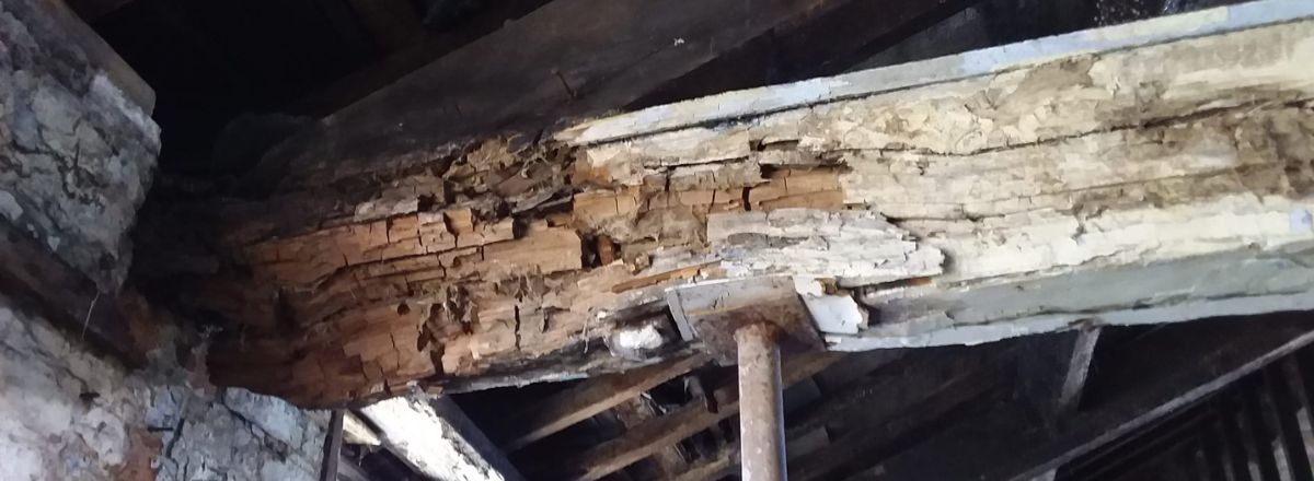 Wet Rot on roof timber beam