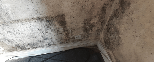 What Causes Mould On Walls
