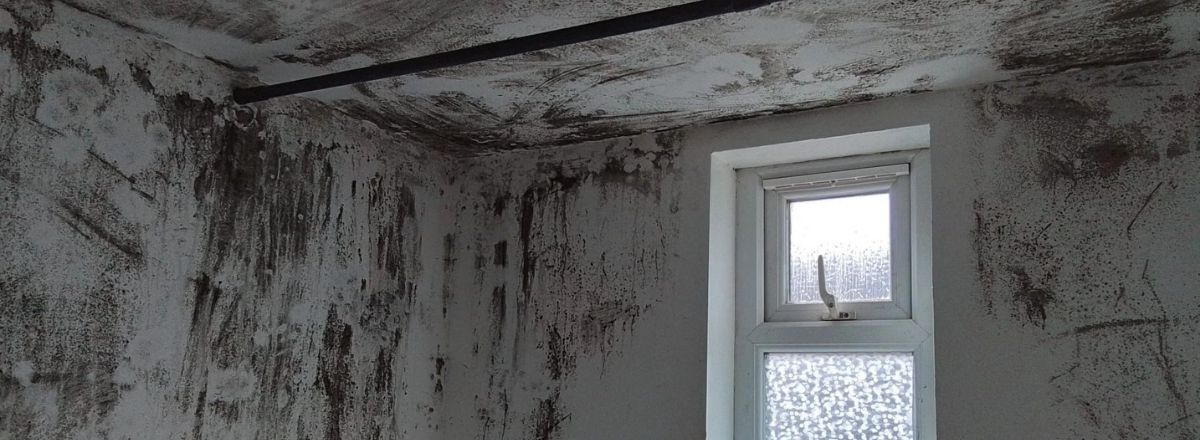 Black Mould on roof in bathroom