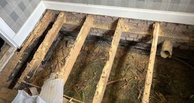 Often woodworm damage can remain unnoticed until joists or floorboards lose their structural integrity and need to be replaced. 