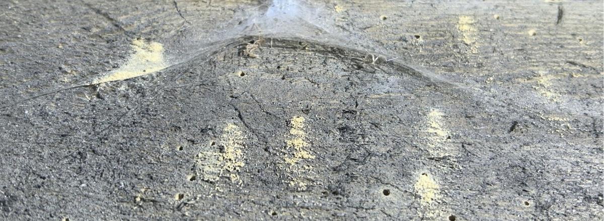 Waterproofing