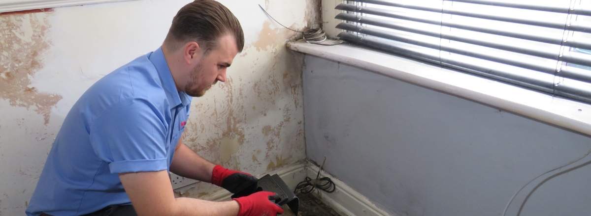 Image showing Rentokil property care technician
