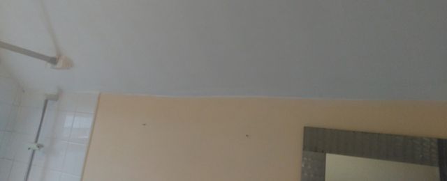 After - anti condensation paints help create a thermal barrier to prevent a thermal bridge, stopping condensation forming and mould growth. 