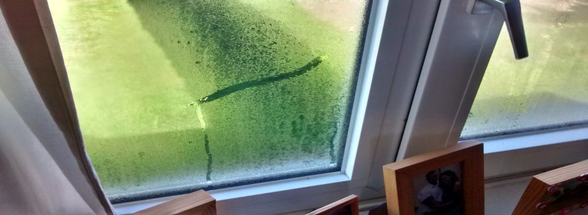 Black mould and condensation on a window