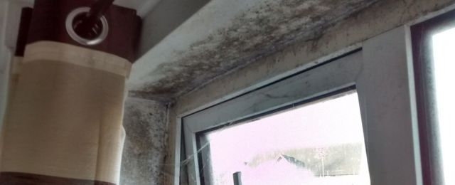 black mould found window frame