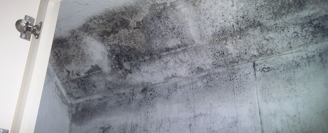 black mould hidden behind furniture
