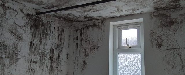 black mould in a bathroom