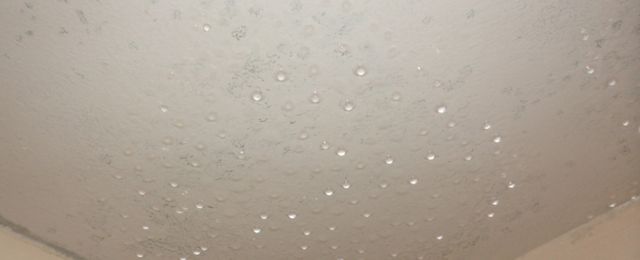 black mould found on kitchen ceiling