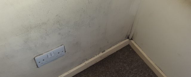 Black mould staining interior wall