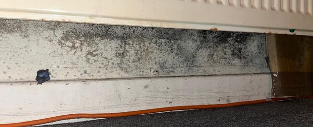 mould growth found underneath radiator