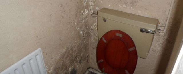Condensation on a toilet wall