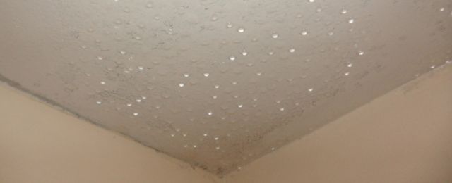 example of condensation - water vapour on surfaces