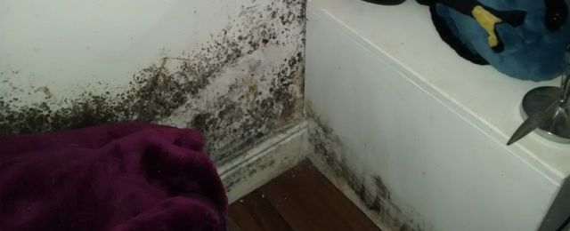 example of condensation - damp musty smells