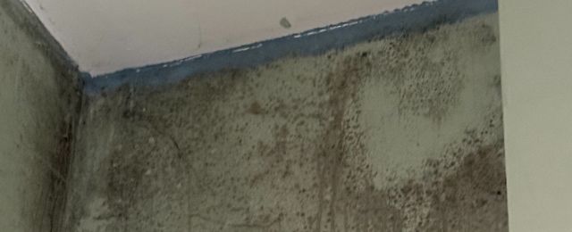 example of condensation - damp patches on walls