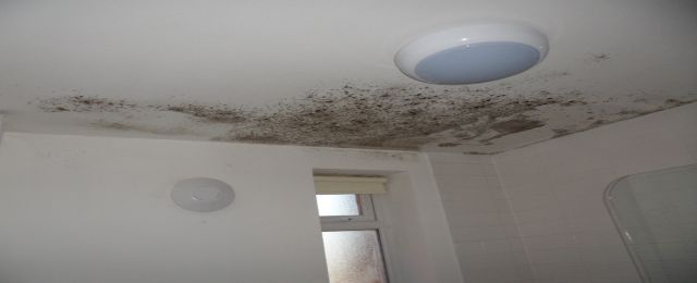 Condensation and Mould on Ceilings