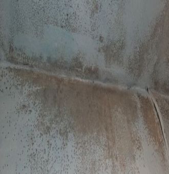 Condensation Issues Indoor Air Quality Monitoring | Advice for Condensation